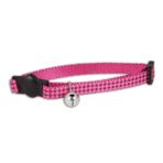 Doskocil Aspen Pet Ürünleri CT Yaka, Pembe, 3/8"