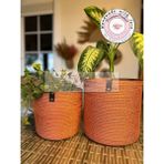 Double Knot Design Pot Saksı Sepet. 2li Set Banyo, Mutfak, Çocuk Odası Düzenleyici Sepet, Organizer Hasır - Turuncu