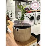 Double Knot Design Saksı Sepet. Banyo, Mutfak, Çocuk Odası Düzenleyici Organizer Hediyelik Anneler Günü Yılbaşı