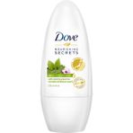 Dove 150 ml Matcha Roll-On Kadın Deodorant