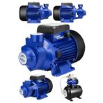 DOZZER Qb60 1 Parma Bakır Sargılı Qb 60 0.75 Hp 0.5kw Su Motoru Su Pompası Dinamo 220v