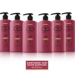 DP 6x500 ml Kantaron Yağı Tuzsuz Şampuan
