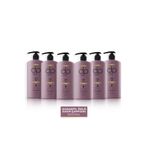 Dp Daily Perfection 6x500 ml Karanfil Özlü Tuzsuz Şampuan