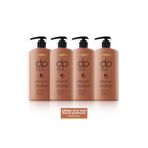 Dp Daily Perfection Çörek Otu 4x800 ml Şampuan