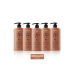 Dp Daily Perfection Çörek Otu Yağı 5x800 ml Şampuan