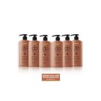 DP Daily Perfection Çörek Otu Yağı 6x800 ml Şampuan