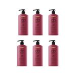 DP Daily Perfection Kantaron Yağı Derinlemesine Onarım Tuzsuz 6x425 ml Şampuan