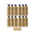 Dp Daily Perfection Şampuan Çam Terebentin 12 x 500 ML