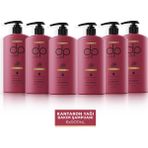Dp Daily Perfection Şampuan Kantaron Yağı 500 ml x 6 Adet