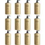 DP Daily Perfection Tuzsuz Çam Terebentin 12x500 ml Şampuan
