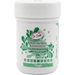 Dr. Gusto Çikolata Boyası Yeşil 30 gr – Yağ Bazlı Gıda Boyası (Çikolata ve Ganaj Için)
