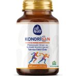 Dr. Henri Kondrion – Pirolokinolin Kinon (PQQ) ve N-Asetil Karnitin 60 Kapsül - Aromasız