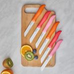 Dr.Inox Sunset 6'lı Meyve Bıçağı