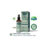 Dr.Lavender Rahat Uyku İçin %100 Doğal Okaliptus Etkili Uyku ve Yastık Spreyi – 100 ml