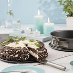 Dr. Oetker 2608 Back-Harmonie Emaye 24 cm Tabanlı Kelepçeli Kek Kalıbı