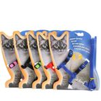 Dr.Sacchi Kedi Göğüs Tasması ve Gezdirme Seti