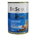 Dr.Sacchi Somonlu 24x400 gr Yetişkin Kedi Konserve