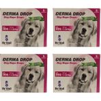Dr Sed Pharma Derma 11-20 kg Köpek Ense Damla 4 Kutu