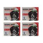Dr Sed Pharma Derma 21-40 kg Köpek Dış Parazit Damla 4 Kutu