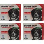 Dr Sed Pharma Derma 21-40 kg Köpek Ense Damla 4 Kutu