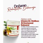 Dr. Wellbec At Kestanesi Jel Krem 500 ml 30693033