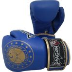 Dragon 30218-P Martina Federasyon Onaylı Muay Thai Müsabaka Eldiveni - 10 oz - Mavi