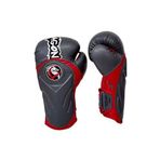 Dragon Tepıto 30341-p Boks Eldiveni
