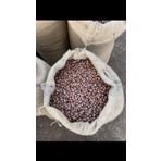 DraguTTrade Fındık (Kabuklu) 1 Kg Doğal - Hazelnuts in Shell 1Kg