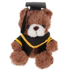 DRESSOOS Oyuncaklar Dr. Ayı Bebek mezuniyet ayı peluş mezuniyet hediyesi oyuncak hayvan dekoratif mezuniyet peluş ayı peluş ayı hediye kabarık doktor kıyafeti Peluş Bebekler Peluş Oyuncak