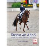 Dressur von A bis S: Schritt für Schritt zu höheren Lektionen
