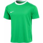Dri-Fıt Academy Pro 24 Yeşil Erkek Futbol Antrenman Tişörtü Kısa Kollu FD7592-329 - XL
