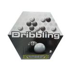Dribling (Abbalone) Zeka Oyunu
