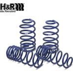 Drs Tuning Seat Toledo 1m 1.6/1.8 1999-2001 Arası H&r Spor Yay -50MM - Çok Renkli - Standart