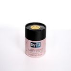 Dryfix Happy Paint Parlak Vernikli Nazlı 350 cc Hobi Boyası