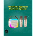 Ds-Derin Iki Mikrofonlu Renkli LED Işıklı Karaoke Cihazı