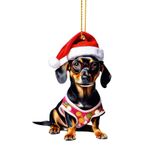 Dubbulon Noel Dachshund,Dachshund Noel Ağacı Süsleri,Taşınabilir Akrilik Dachshund Köpek Ağacı Süsleme | Noel Ağacı Süslemeleri, Sırt Çantası Süslemesi, Ev için Şapkalı Sosis Köpek