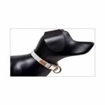 Dubex G-Dog 15 mm 19-30 cm Small Köpek Boyun Tasması