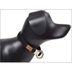 Dubex Siyah Köpek Boyun Tasması