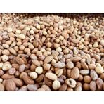 Duble Karışık Kuruyemiş - 1 kg