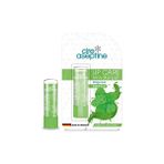 Dudak Bakım Kremi - Minty Plumper & E Vitamini - 4,5 gr