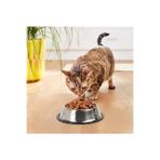 DUFFA Paslanmaz Çelik Kedi Mama Ve Su Kabı, Köpek Çelik Mama Kabı, Kaymaz Lastikli Taban, Dayanıklı Besleme Tası, Kolay Temizlenebilir, 8 oz/250 ml (16 Cm)