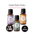 duftshaus Lavanta Sedir Ağacı Amber Saf Esansiyel Uçucu Yağ Buhurdanlık Yağı Difüzör Esansı 3x10 ml