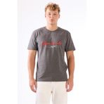 Dufy Antrasit Melanj Erkek Regular Fit Baskılı Casual O Yaka T-shirt