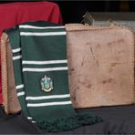 Dükkan Design Harry Potter Lisanslı Slytherin Atkı