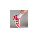 Dunk Low Retro Premium Sneaker Erkek Ayakkabı DZ2536-600