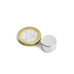 Dünya Magnet Yuvarlak Neodyum Mıknatıs, 15X10 Mm, Çok Güçlü Magnet, Çap: 15 Mm X Boy: 10 Mm