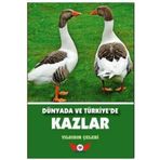 Dünyada ve Türkiye’de Kazlar - Yıldırım Çelebi