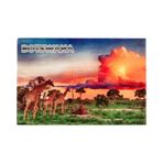 Dünyadan Hediyeler Botsvana Temalı Ahşap Kartpostal Magnet