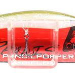 Duo 110 GEA3006 Realis Pencil Ghost Minnow