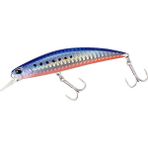 Duo AHA0087 Bayruf Seek 68S Mazume Sardine